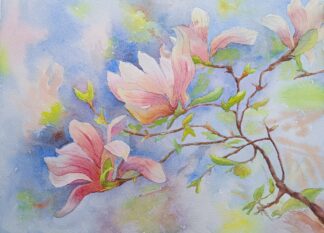 Magnolia