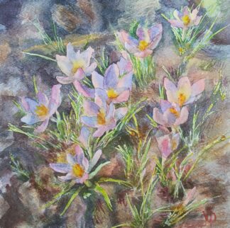 Blue Crocuses