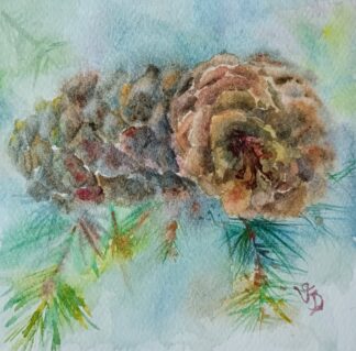Pine Cones