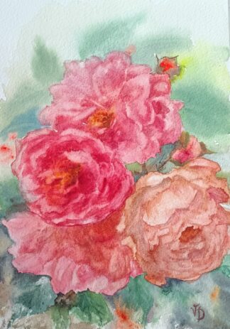 Roses