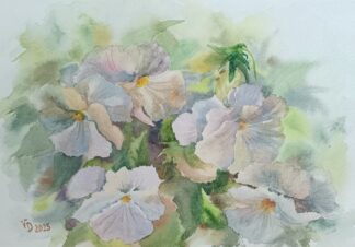 White Pansies