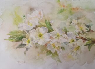 Spring Blossom