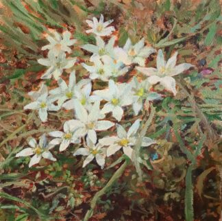 Star of Bethlehem