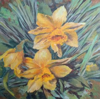 Daffodils