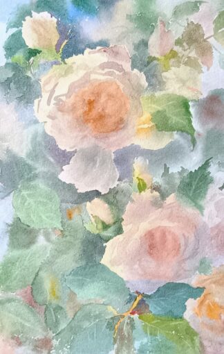 White Roses