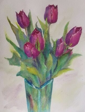Violet Tulips