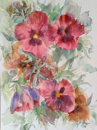 Red Pansies