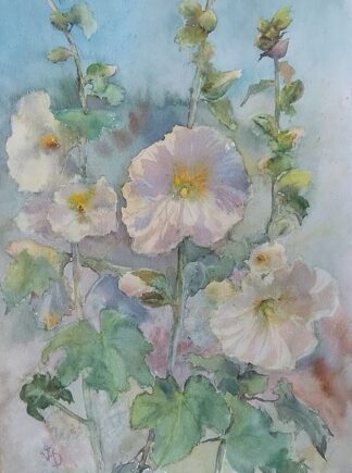 White Mallow