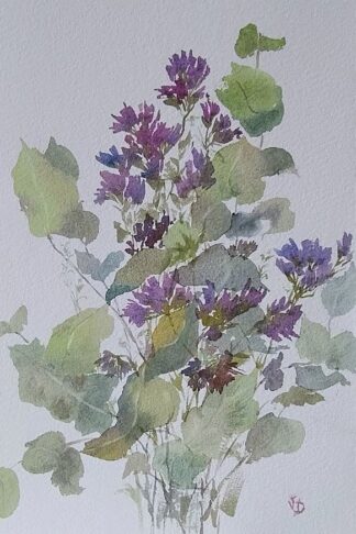 Eucalyptus and Sea Lavender