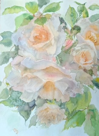 White Roses