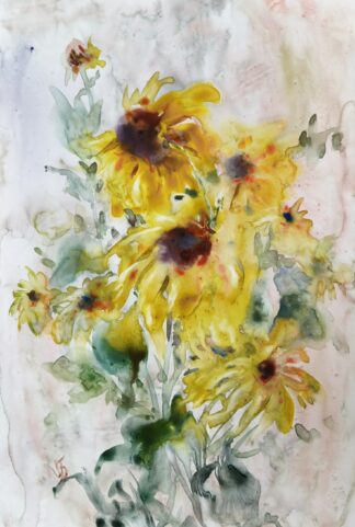 Rudbeckia
