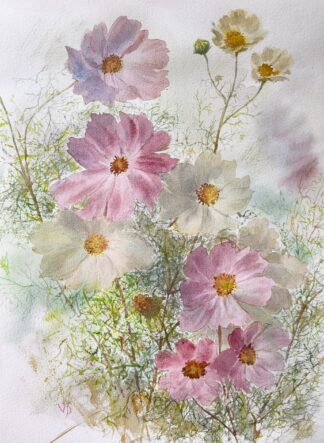 Cosmos